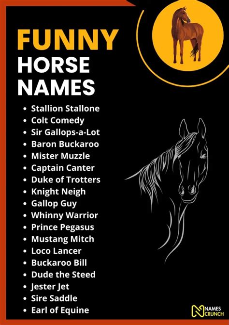 funny horse names.